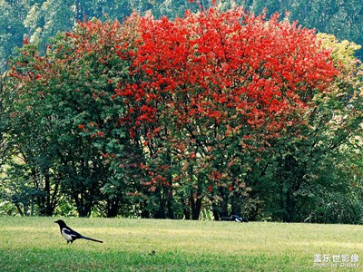 【雙節(jié)小長假】行色抓拍