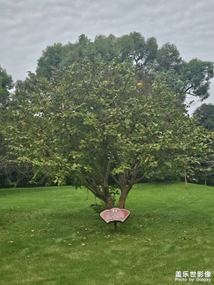 【別樣精彩】+我的公園隨拍