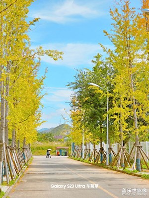 【別樣精彩】秋日絮語(yǔ)