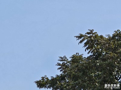 【雙節(jié)小長(zhǎng)假】假期結(jié)束