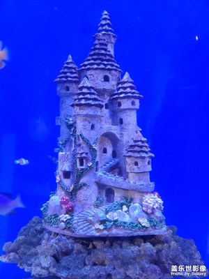 從此野性十足，不再將就。