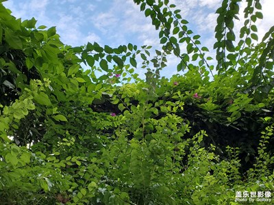 【別樣精彩】+精彩時(shí)光