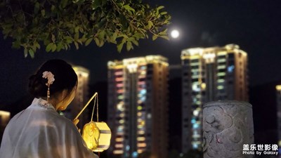 【鏡頭里的秋日私語】+月上枝頭秋意濃