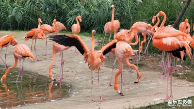 你是我的最后一筆高光，明亮且不可缺少。