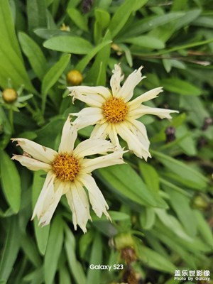 【鏡頭里的秋日私語】植物園