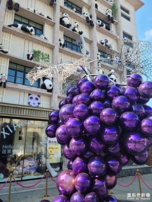 [鏡頭里的秋日私語(yǔ)】海濱一游