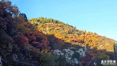 尋找家鄉(xiāng)的秋天
