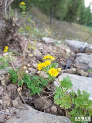 【鏡頭里的秋日私語(yǔ)】秋色漸濃