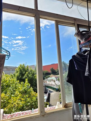 【鏡頭里的秋日私語】小皮蛋