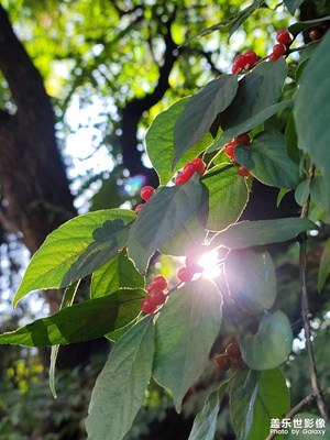走過路過不要錯過