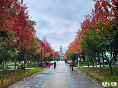 鏡頭里的秋日私語＋出差長沙回到蘭州