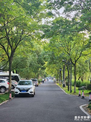 【賞秋正當(dāng)時(shí)】+校園秋景