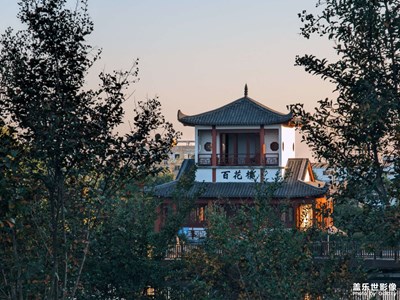 葡萄是紫色的月亮，你是有形狀的光。