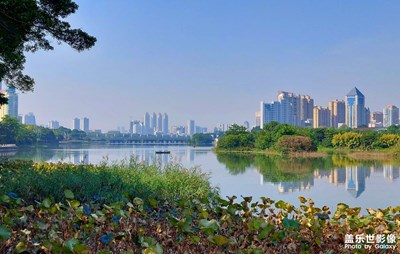 【賞秋正當時】荷塘秋色