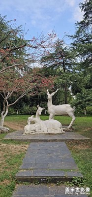 【賞秋正當(dāng)時】+秋天隨拍