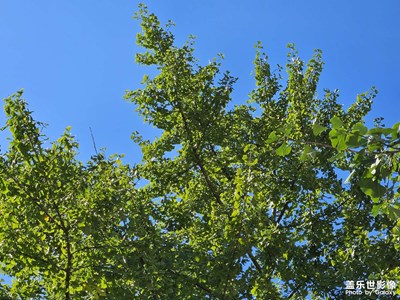 【賞秋正當時】+秋日美景