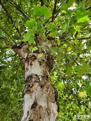 【賞秋正當(dāng)時(shí)】+隨手拍拍