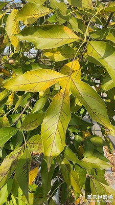 賞秋正當(dāng)時(shí) 秋天的味道
