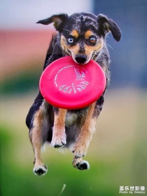 【精彩瞬間】+美好生活