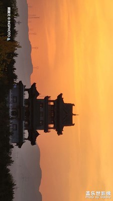 一只迷路的瓢蟲????