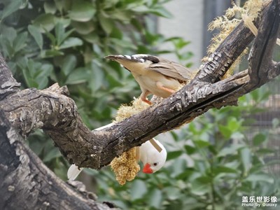【精彩瞬間】捕捉靈動