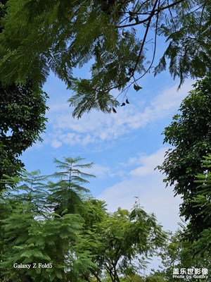 周末江邊露營(yíng)???