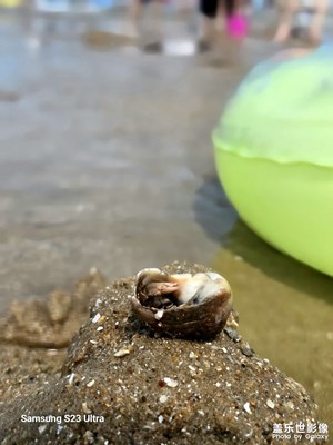 【精彩瞬間】+記錄生活