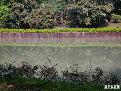 【精彩瞬間】記錄生活