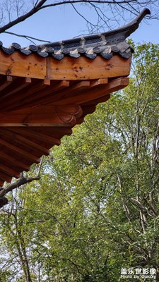 周末的風(fēng)景