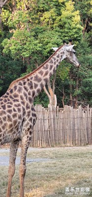 風和我都是自由的。