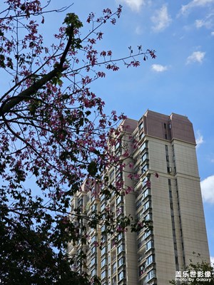 【精彩瞬間】秋高氣爽