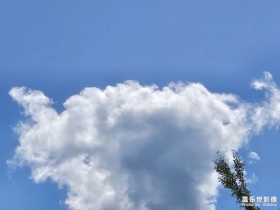 【精彩瞬間】+暖陽當空照