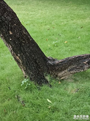 【影像的魅力】