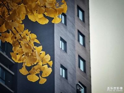 【影像的魅力】+隨拍