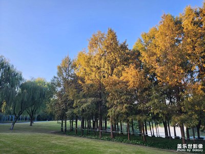 【影像的魅力】秋日校園隨手拍