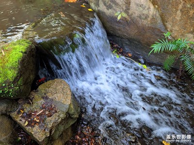 追隨自己的光，赤誠亦勇敢