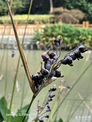 【影像的魅力】+場景小拍