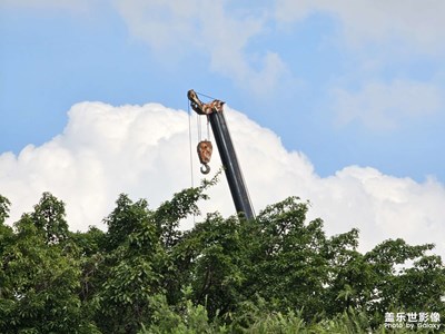【影像的魅力】光影記錄生活