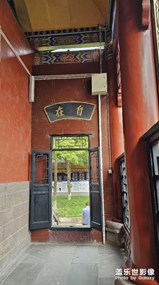 【一鏡一世界】一樹一菩提