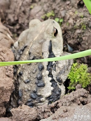 【一鏡一世界】+場(chǎng)景小拍