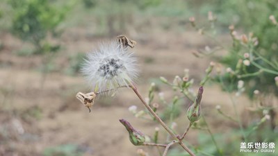 【一鏡一世界】每日碎片