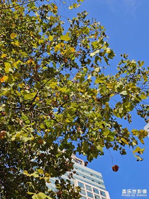 【一鏡一世界】生活視角