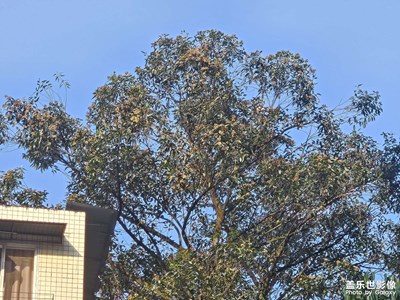 【一鏡一世界】+隨手拍