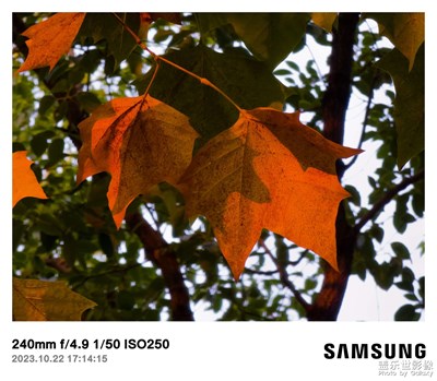 大學生活攝影養(yǎng)成??1??0??