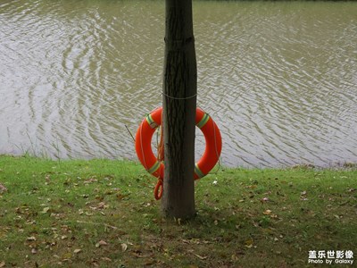 【一鏡一世界】自然萬物