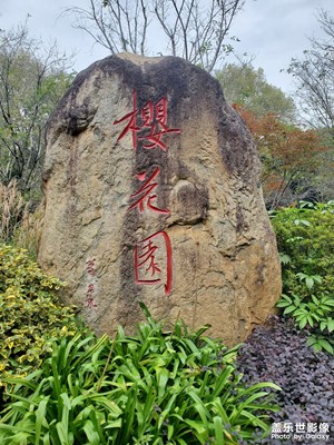 【與時光的對話】+ 冬季的樹林