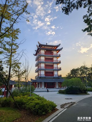 “不是所有的家都是避風港”
