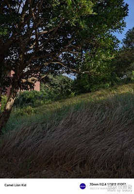 【與時光的對話】定