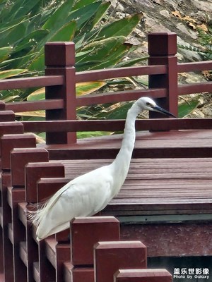 【與時光的對話】+ 冬游東湖