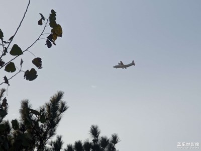 去沒人的島，摸鯊魚的角——《Salt》